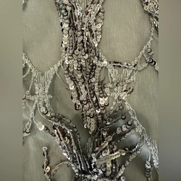 Lulus On a the Dance Floor Silver Sequin Fringe Shift Dress size Small - Picture 5 of 12